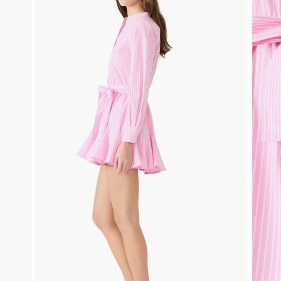 NWOT Steve Madden Lorelei Stripe Tie Waist Long Sleeve Minidress - Picture 3 of 6